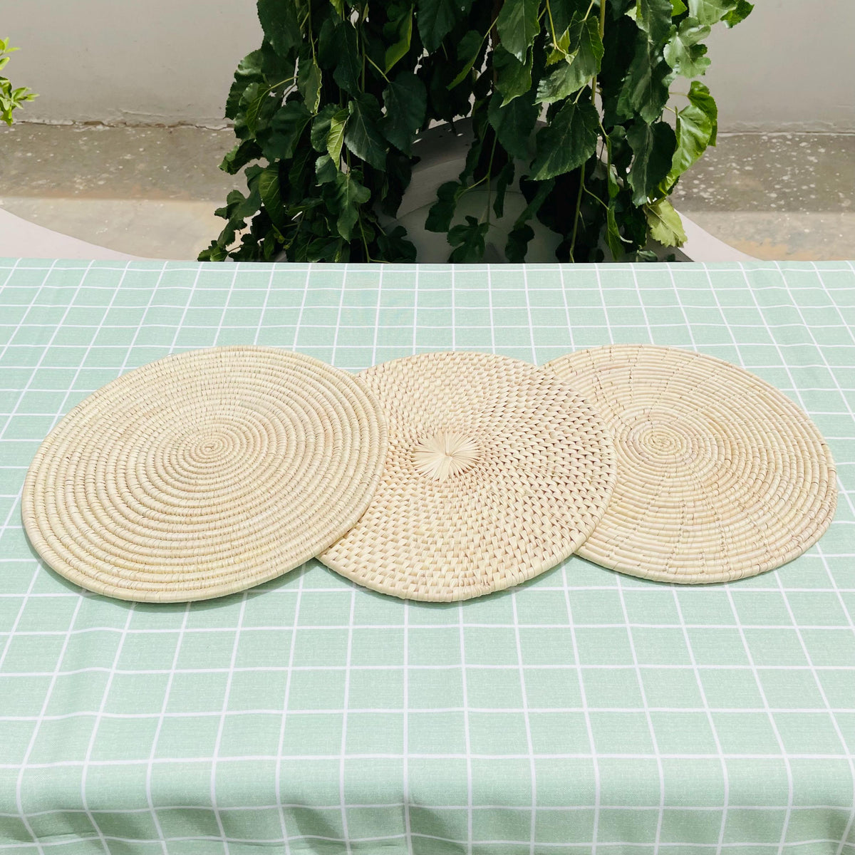 Woven Palm Leaf Placemats with Holder: Set of 6, 14" Eco-Friendly Dining